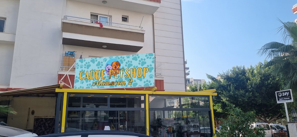 Cadde Pet Kuaför
