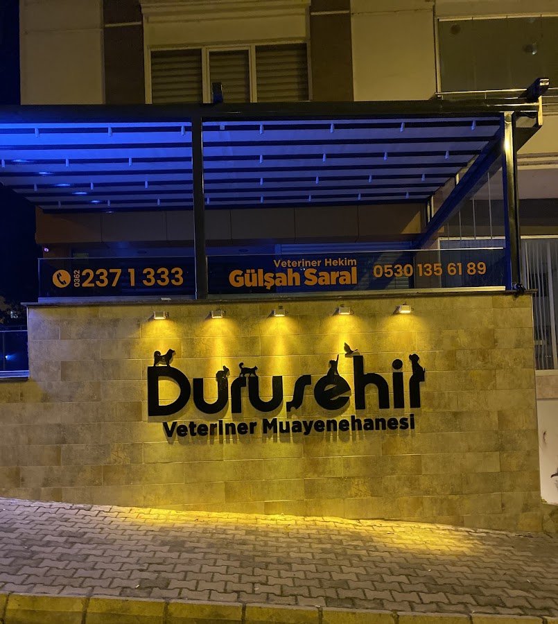 Duruşehir Veteriner Muayenehanesi