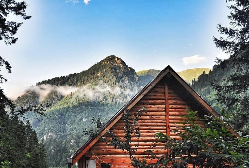 Ladin Dağ Evi Konaklama Rize