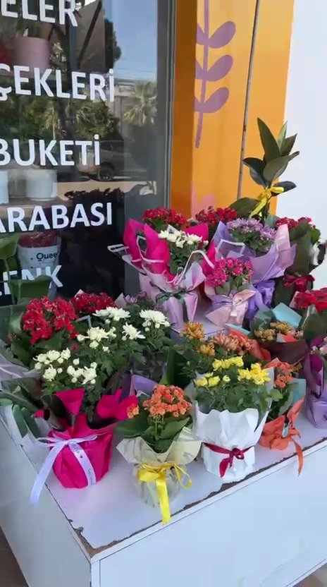 Şenay Flowers