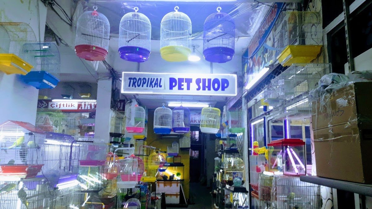 Tropikal Akvaryum