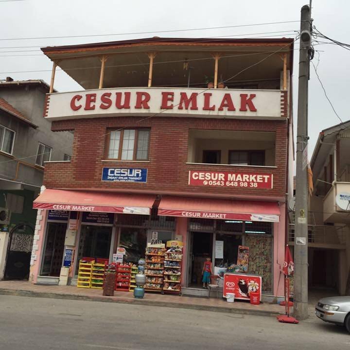Cesur Emlak