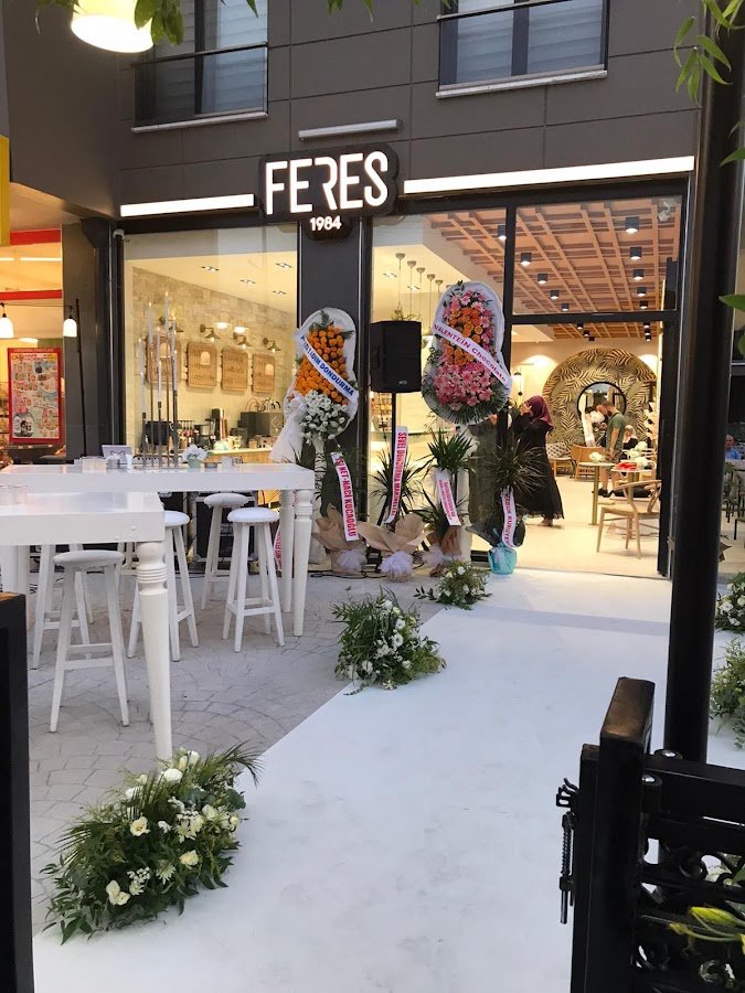 Feres1984