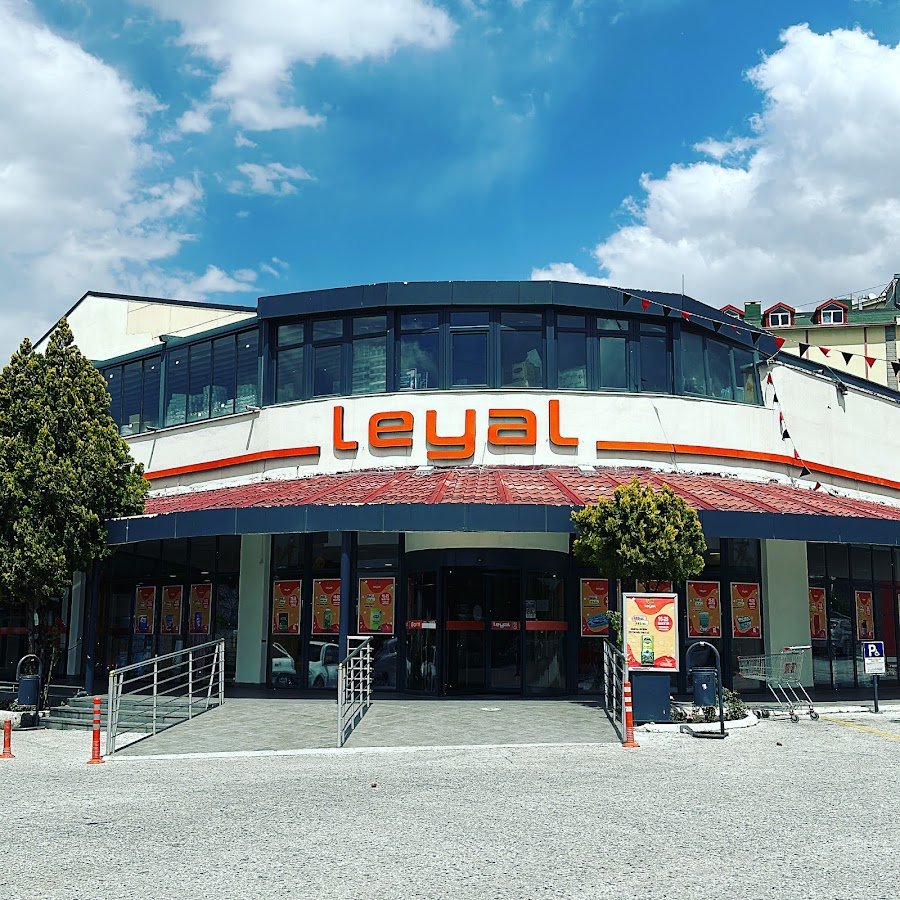Leyal AVM