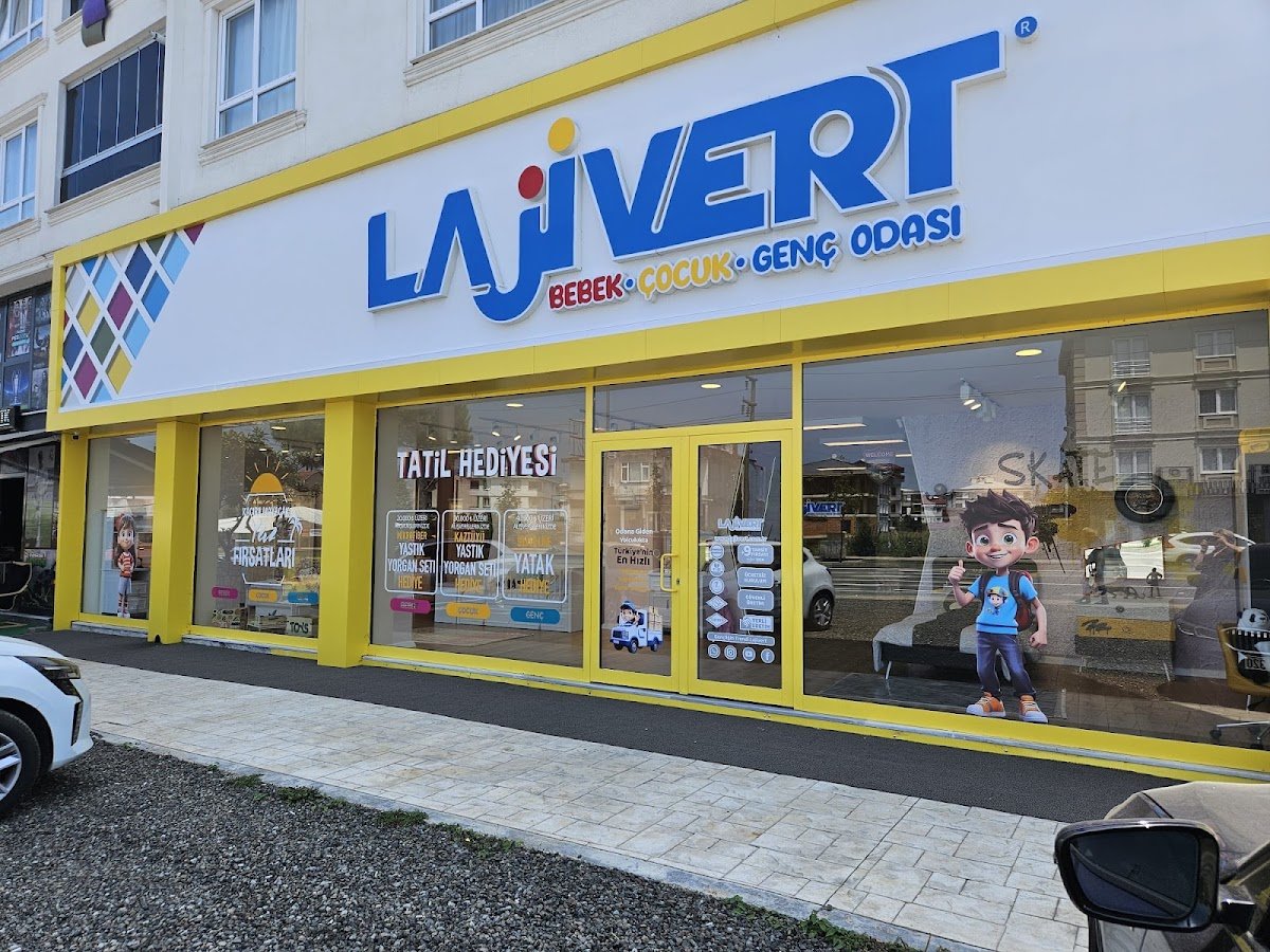 Lajivert Genç Odası | Ordu