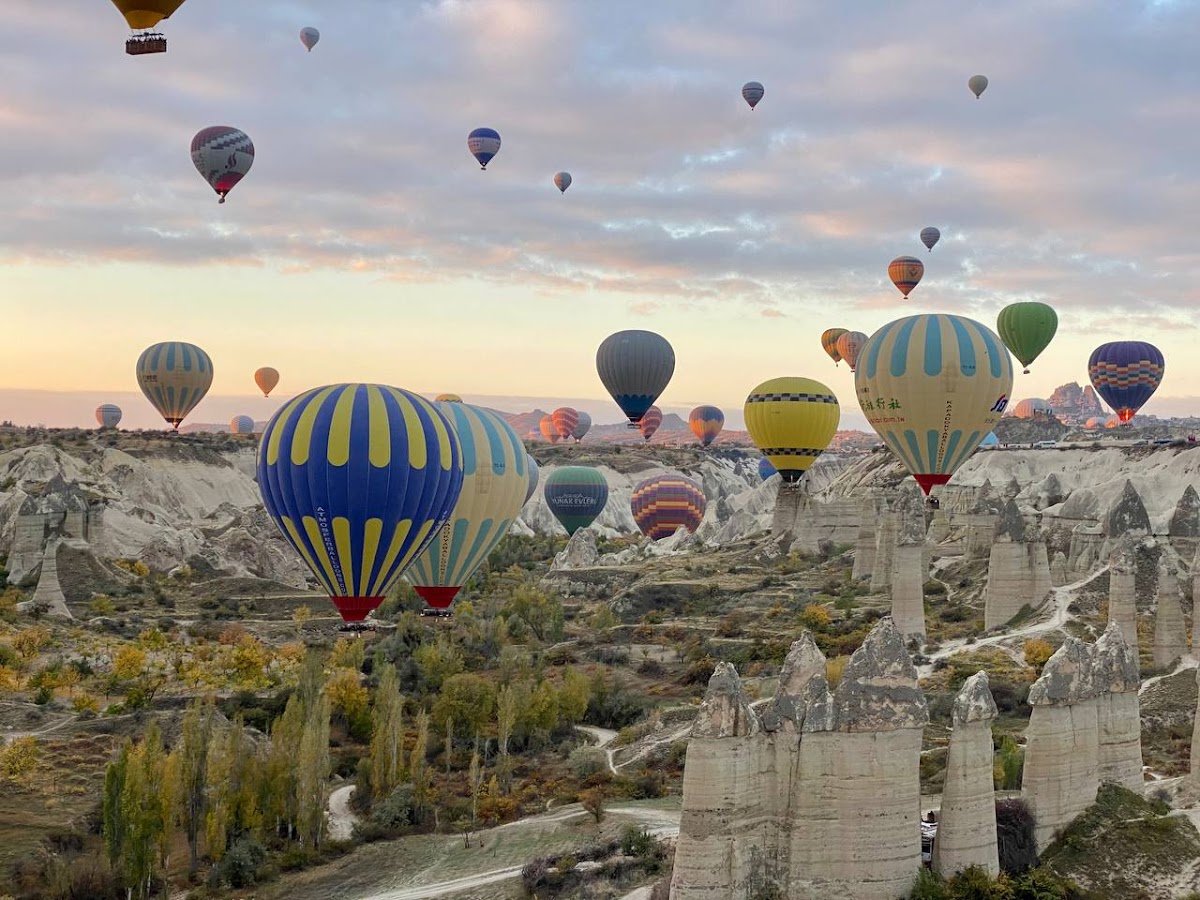Masgo Travel