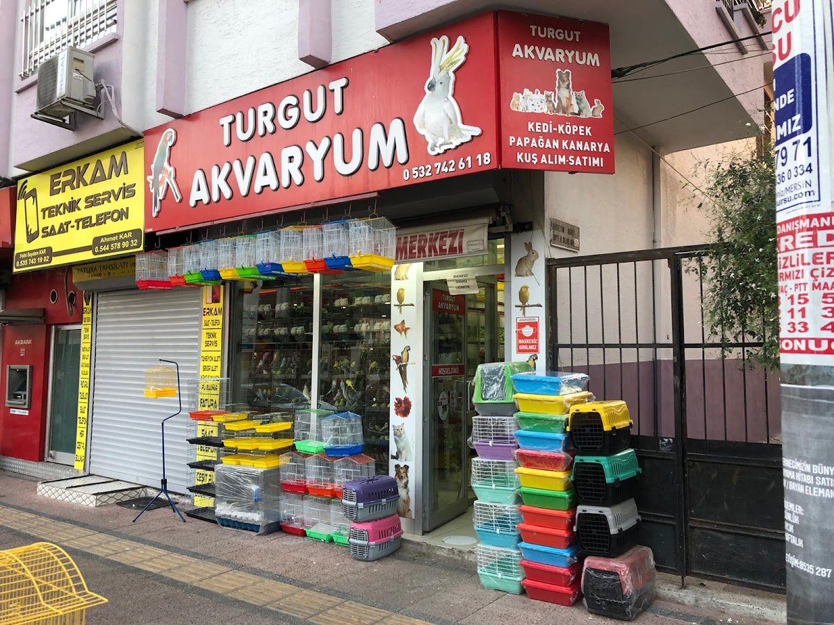 Turgut Akvaryum
