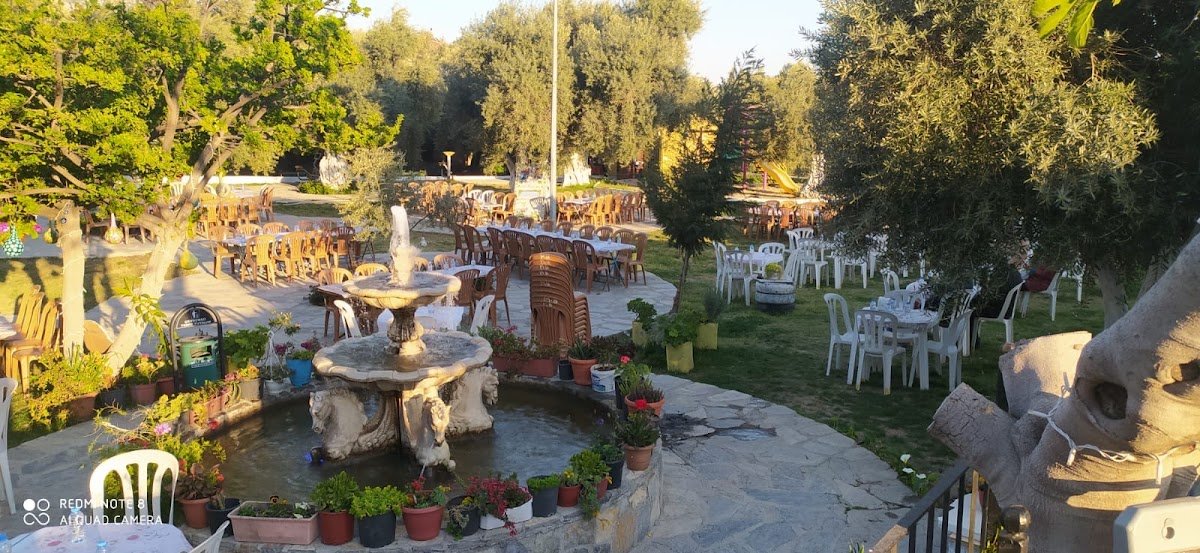 Üç Yapraklı Yoncalar