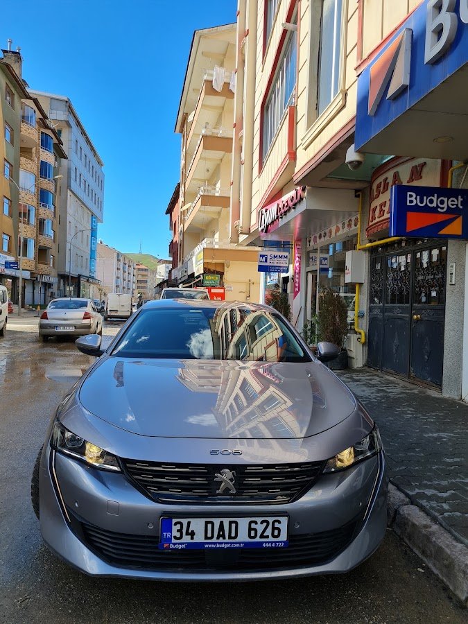 Budget Muş