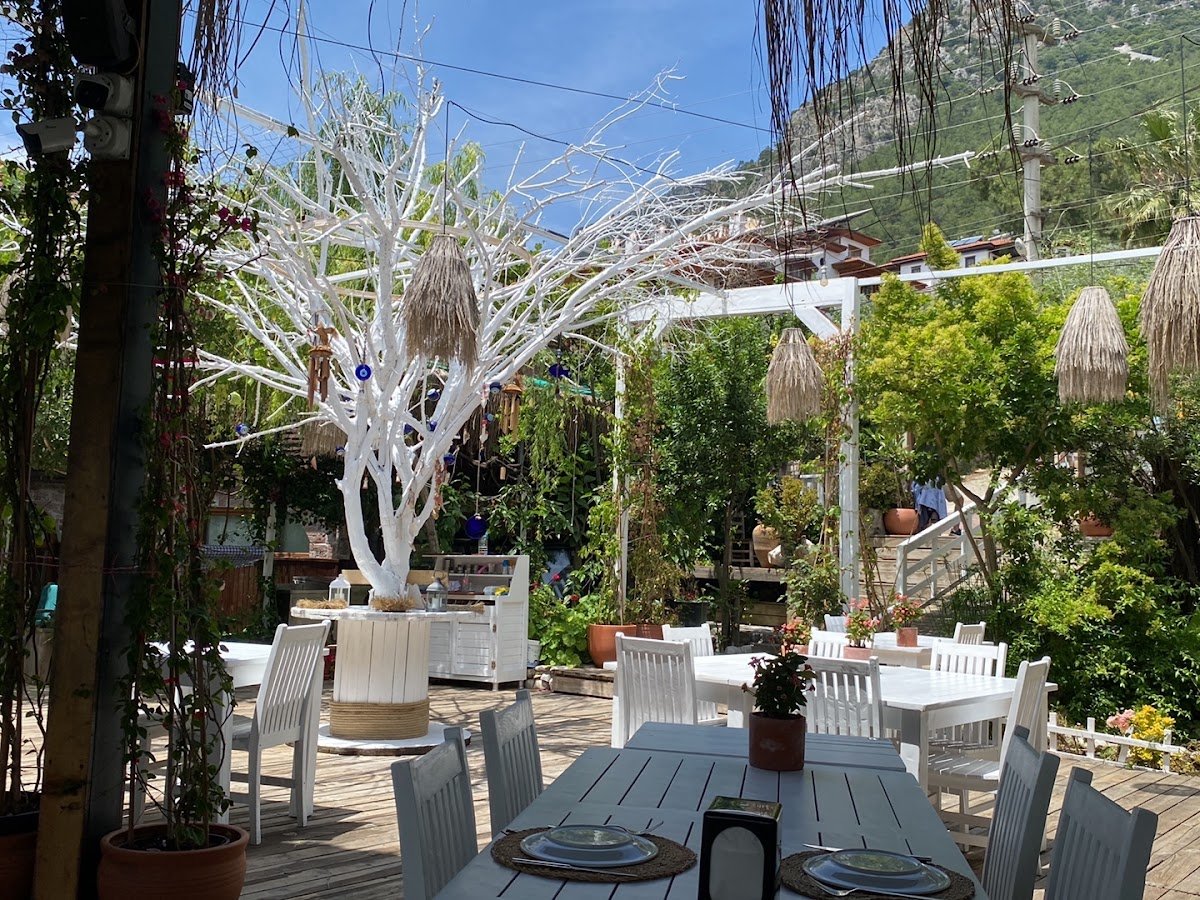 Azmak Restaurant | Akyaka Azmak Üstü Balık & Özel Mezeler & Serpme Kahvaltı-Akyaka