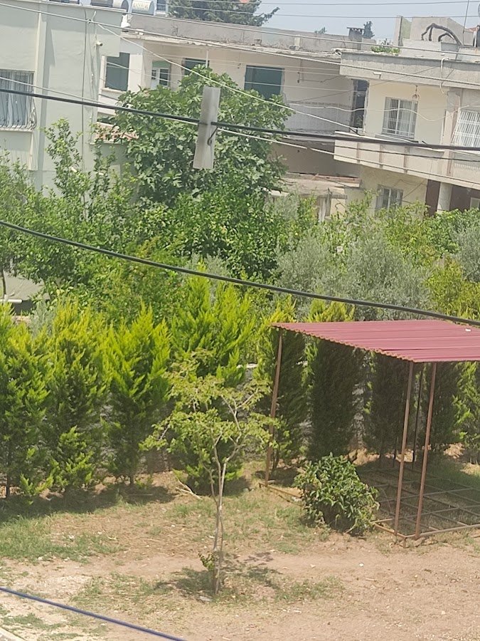 Yasemin Çiçek Evi ve Organizasyon Çiçekçi Serdar