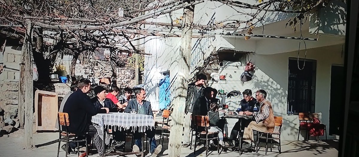 Spoticar Turgut Muğla