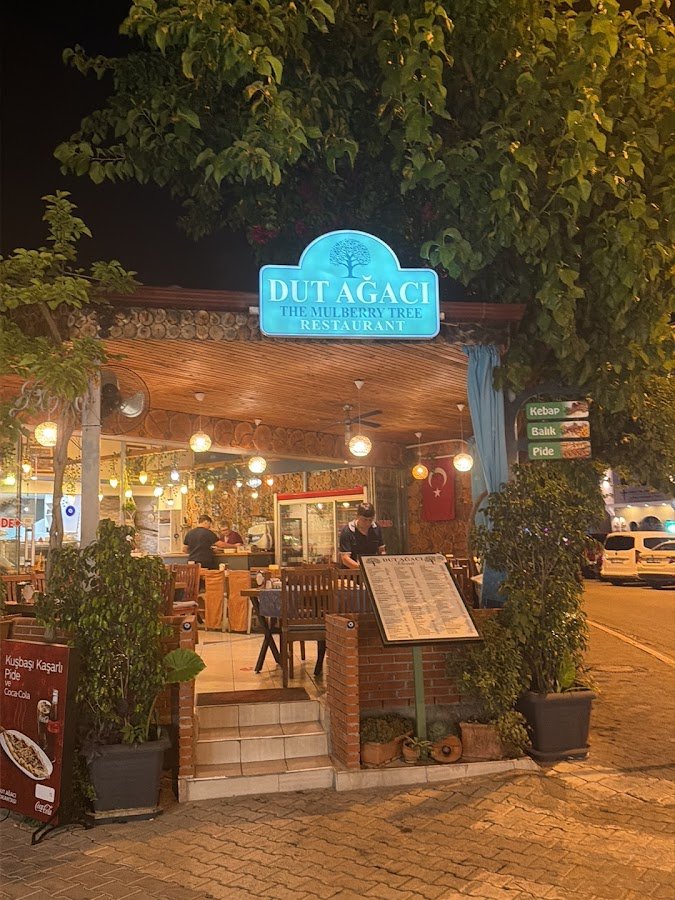 Dut Ağacı Restoran