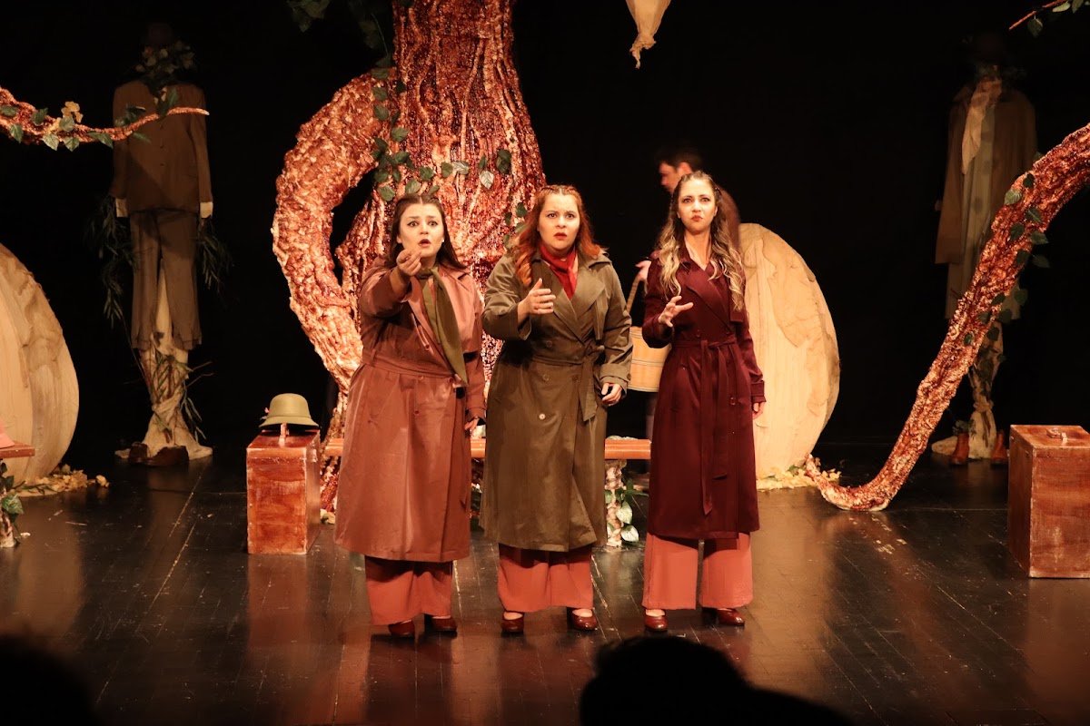 Ordu Büyükşehir Belediyesi Karadeniz Tiyatrosu