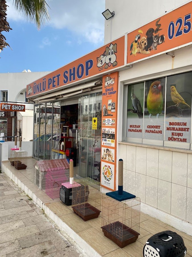 Gümbet Ünlü Petshop Bodrum Muhabbet Kuşu Dünyası