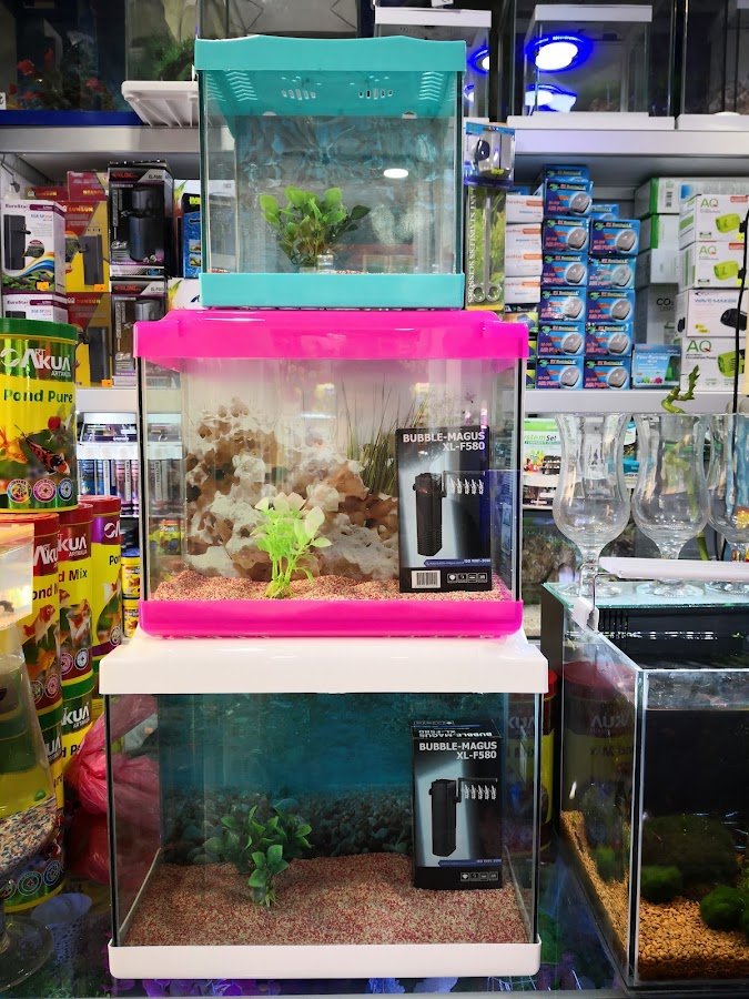 Ada Akvaryum Pet Shop ve Oudoor