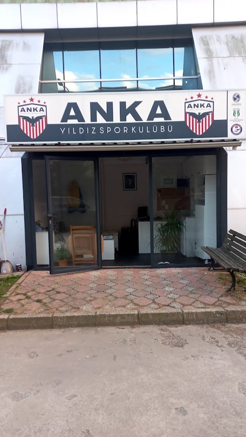 Sakarya Anka Yıldız Spor Yüzme Kursu