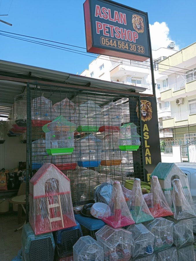 Aslan Petshop