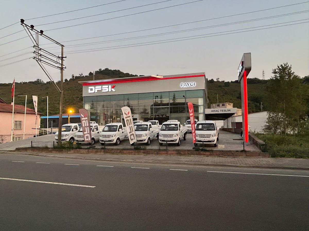 Dfsk Ordu