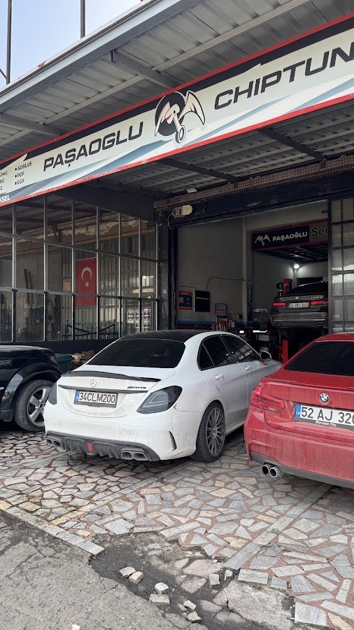 Paşaoğlu Chıp Tunıng Ordu