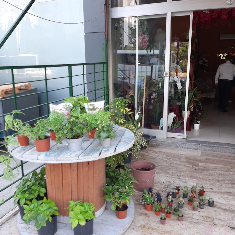 Mersin Çiçekçi Özgem