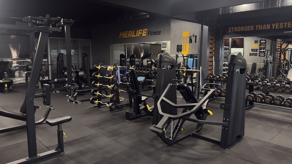 Merlife