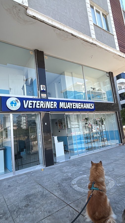 Kurtuluş Veteriner Muayenehanesi