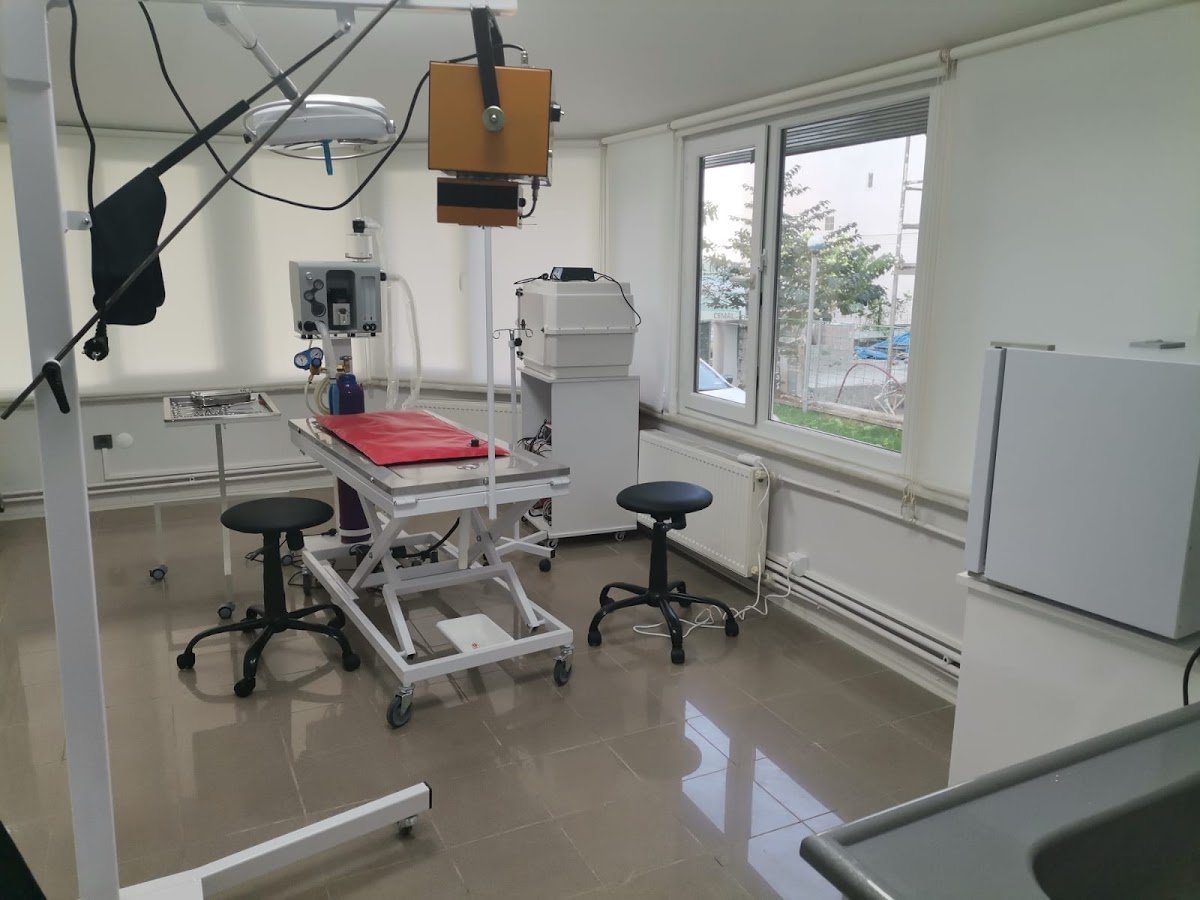 Dogtor Veteriner Kliniği