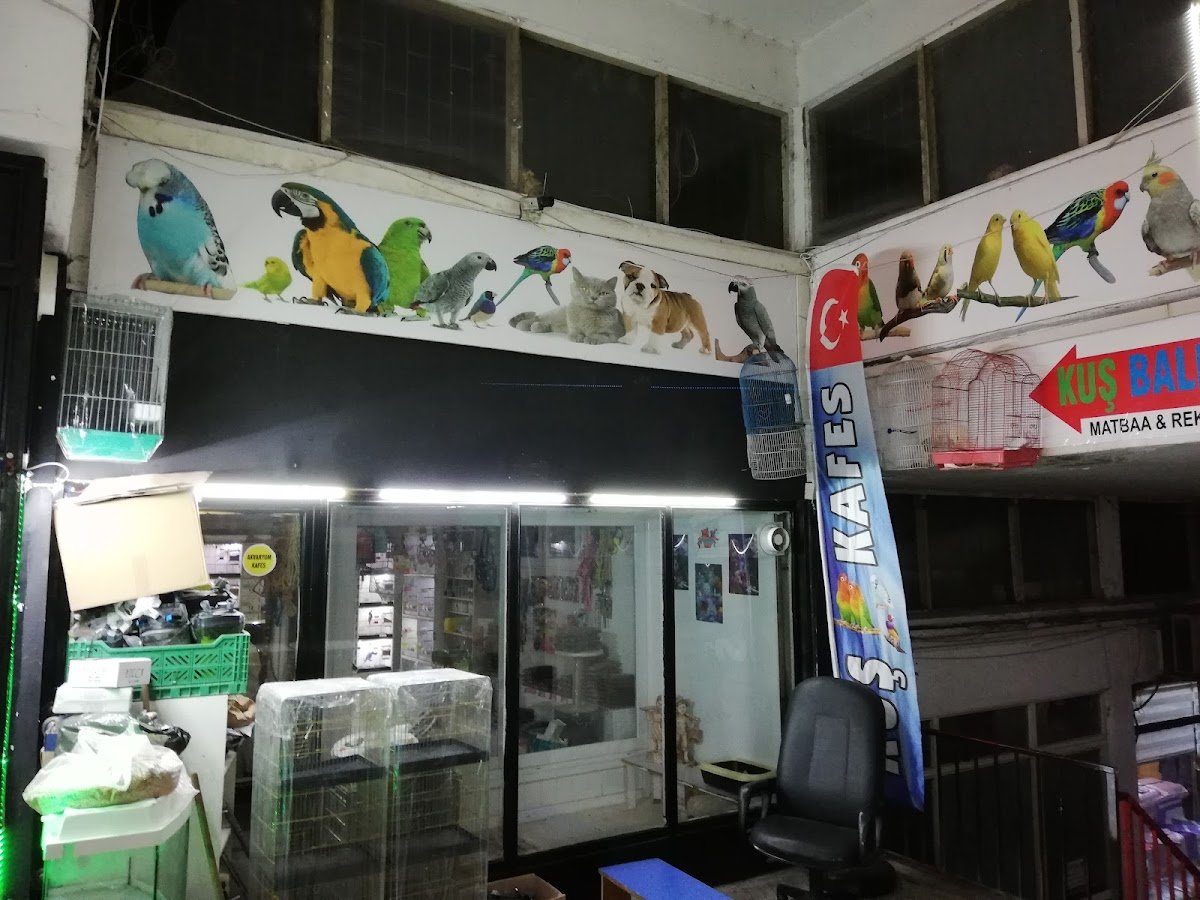Kader Petshop