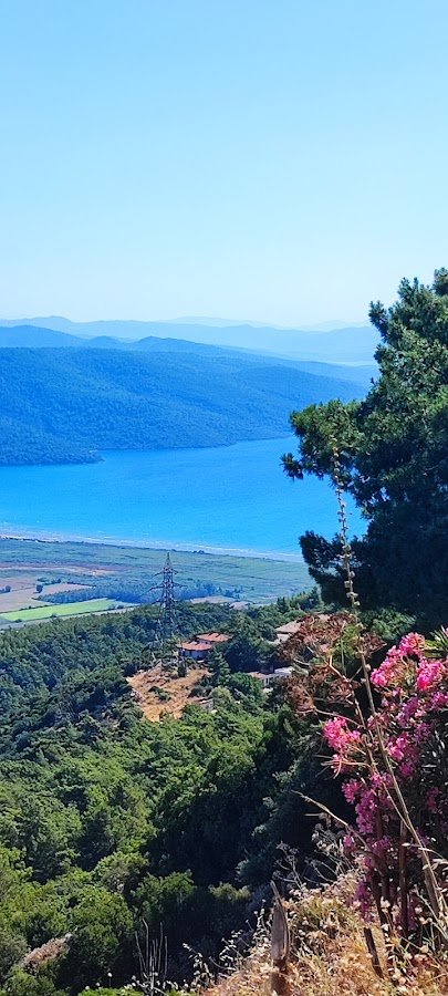 Motolog Eğitim