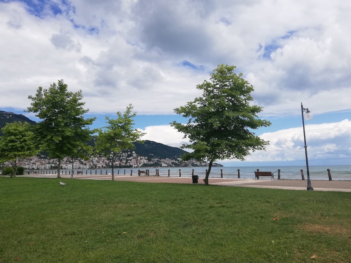 Tayfun Gürsoy Parkı