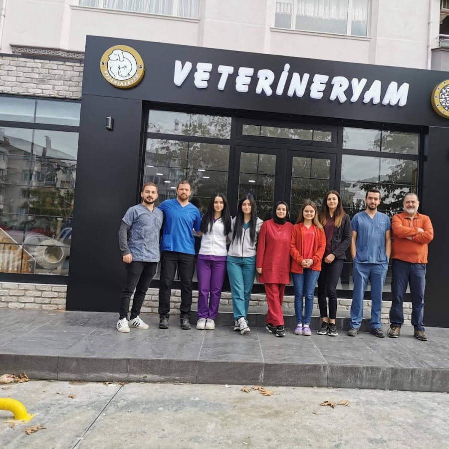 Veterinerya - Ordu
