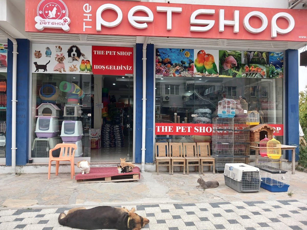 The Pet Shop