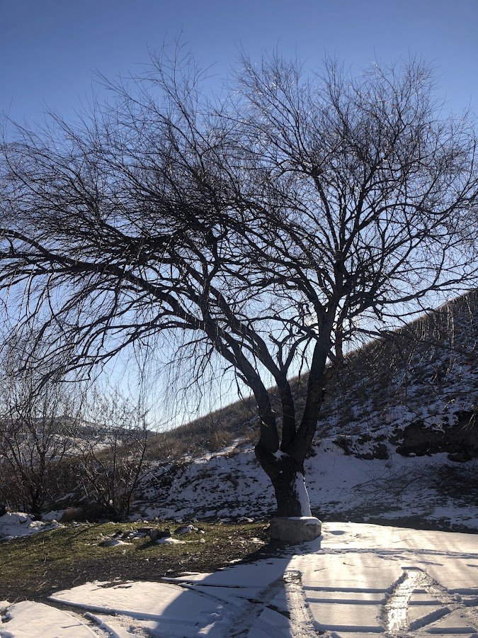 Yeni Kozaklı Turizm Seyahat