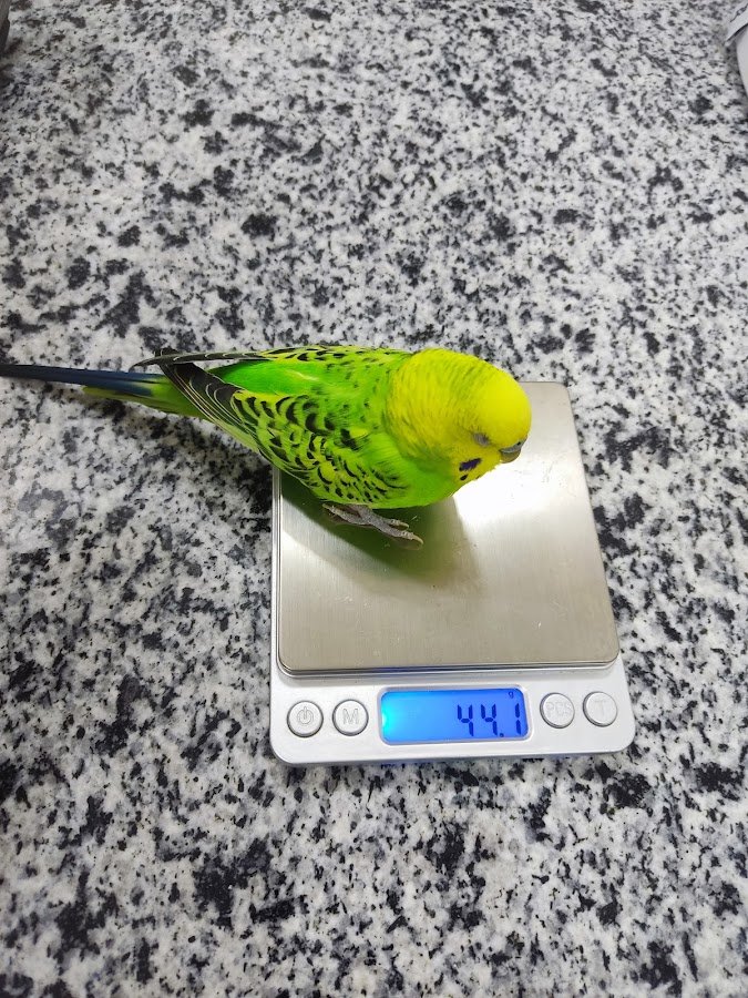 Bir Veteriner Kliniği