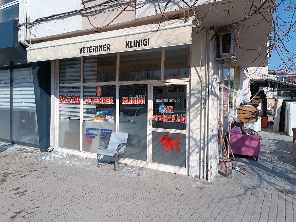 Toylar Veteriner Klinigi