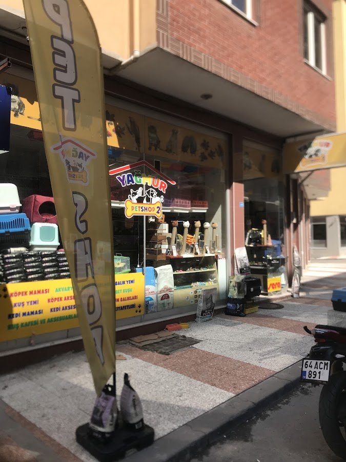 Yağmur Petshop 2