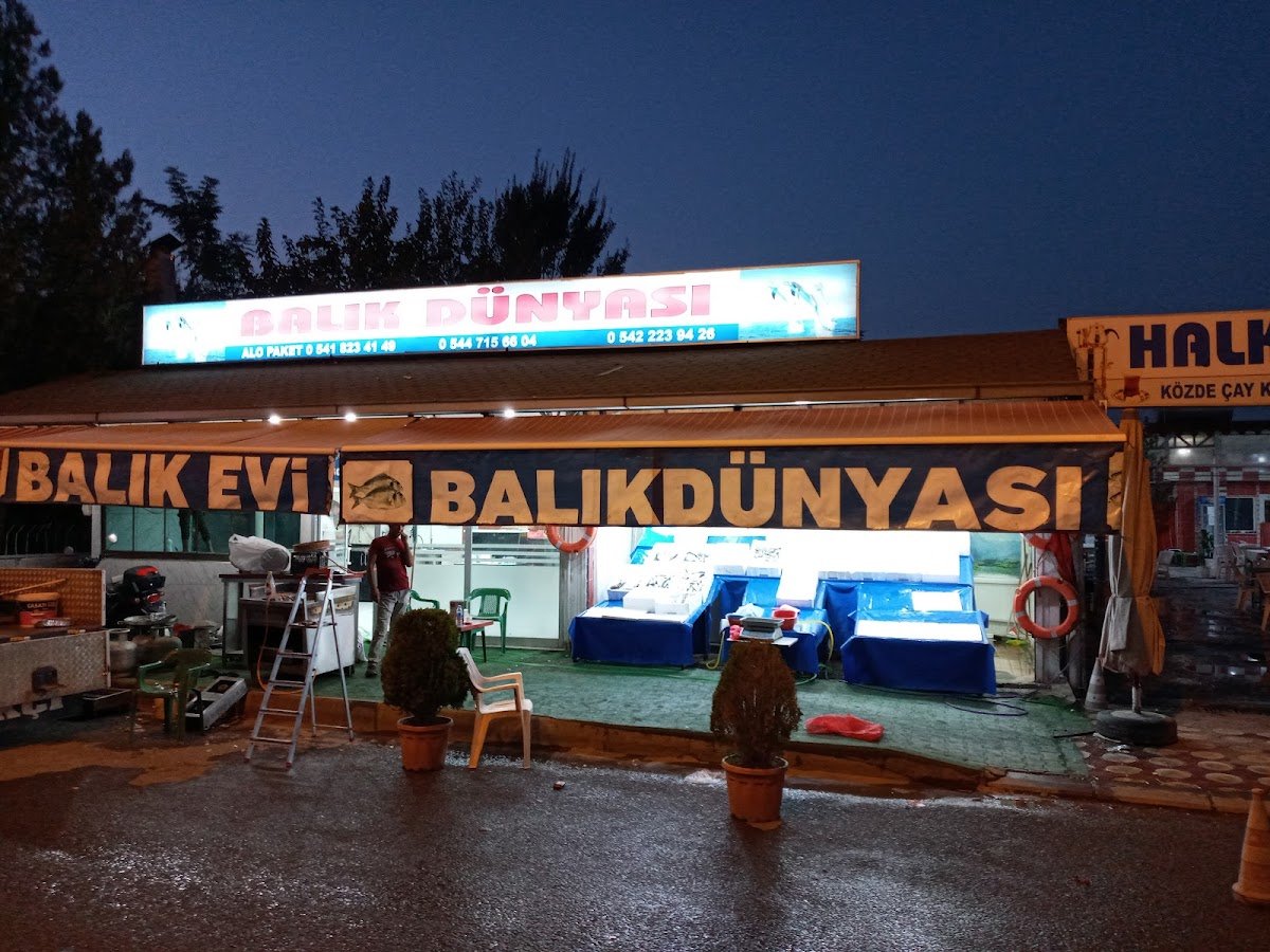Kurtalan Balık Dünyası