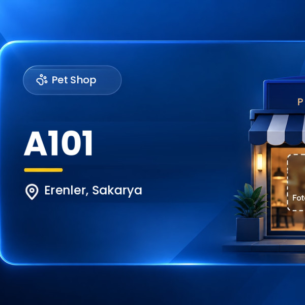 A101