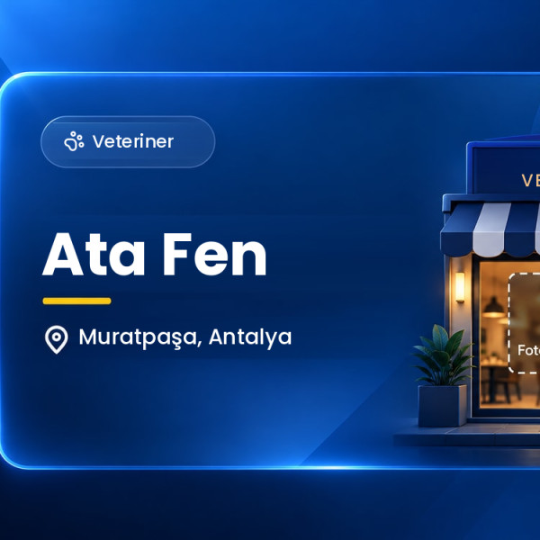 Ata Fen