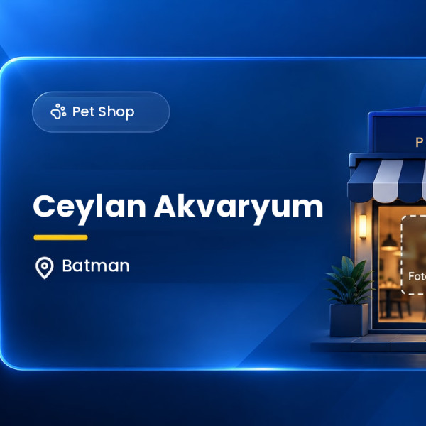 Ceylan Akvaryum