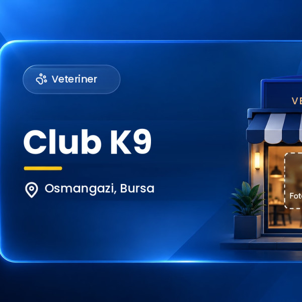 Club K9
