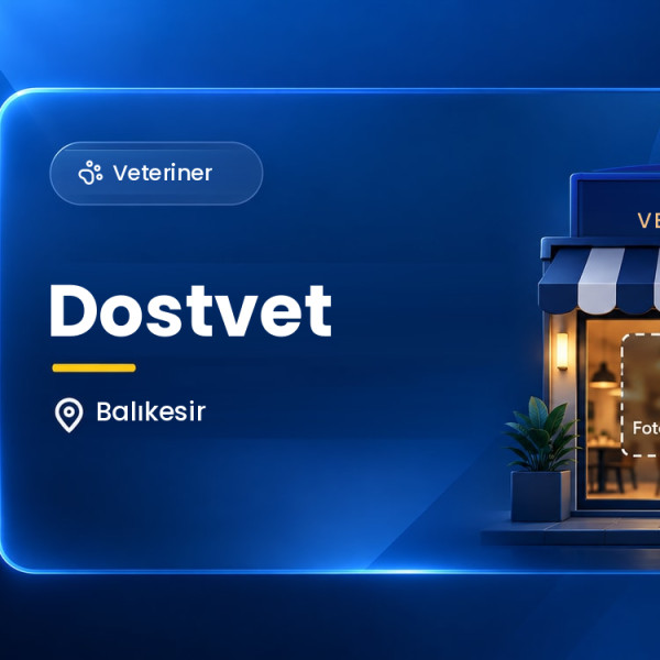 Dostvet