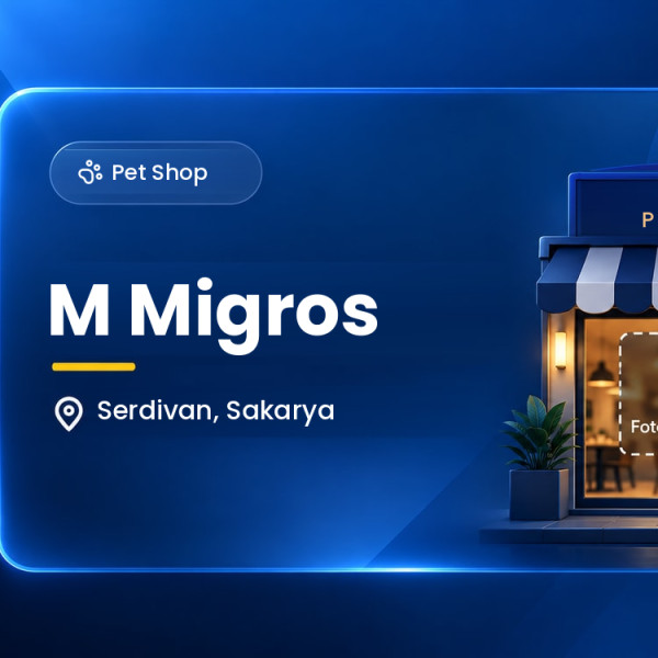 M Migros