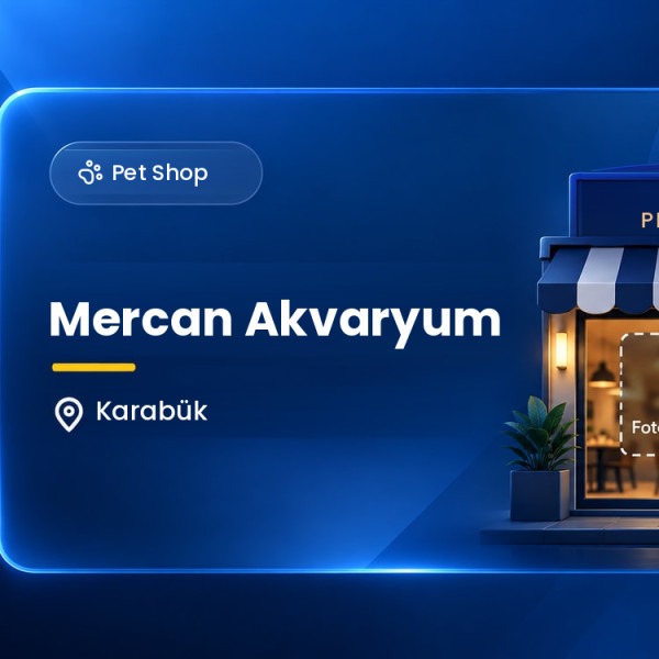 Mercan Akvaryum