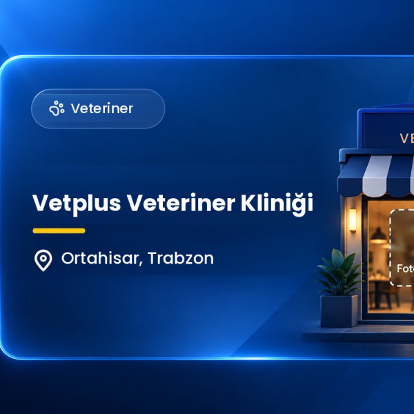 Vetplus Veteriner Kliniği
